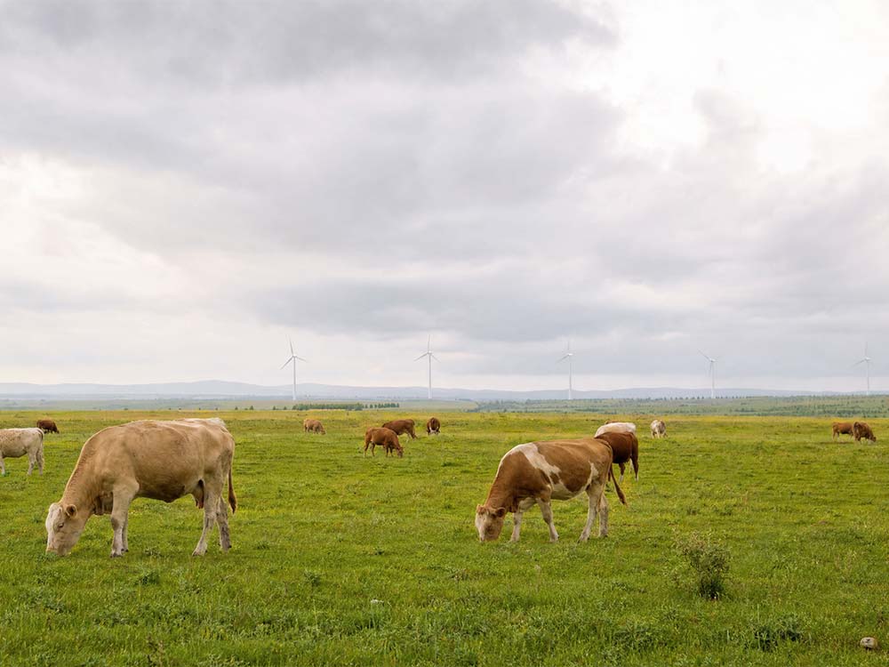 Batteriespeicherprojekt Alfstedt
