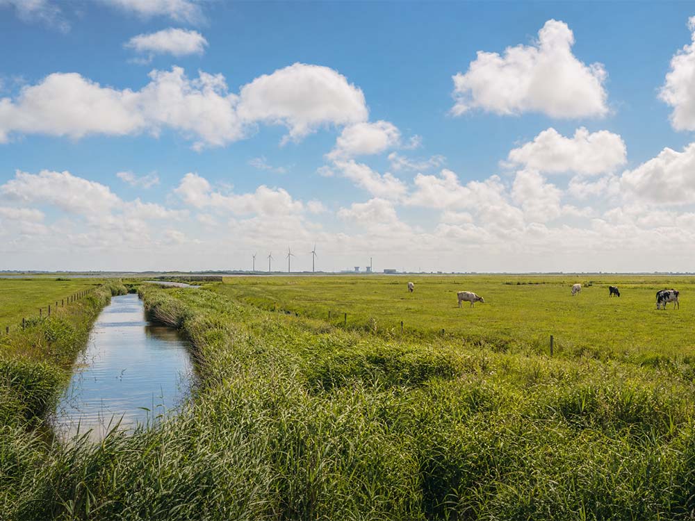 Batteriespeicherprojekt Elsfleth